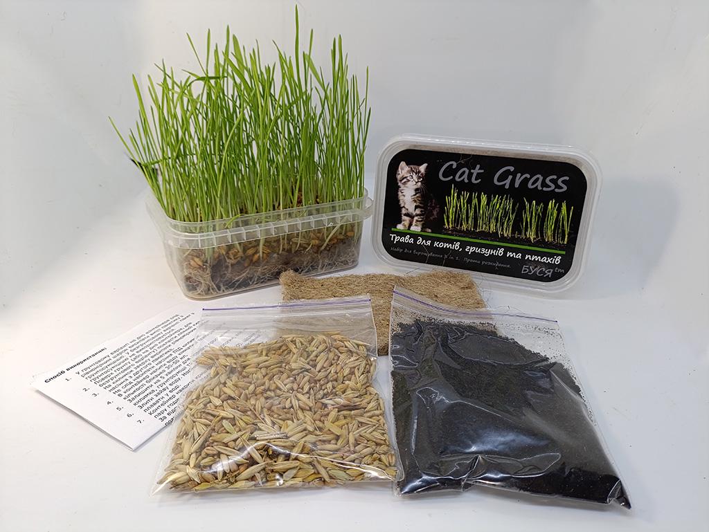 Трава для кошек грызунов и птиц Cat Grass Буся - фото 2