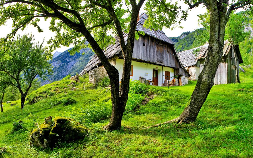 Картина Природа PR131 55х85 см