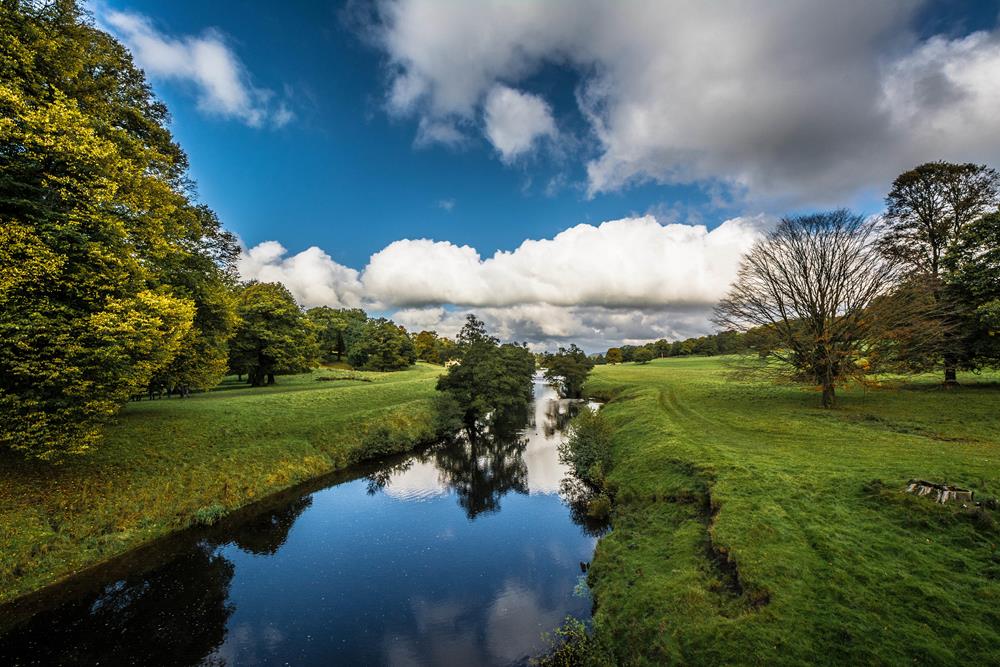 Картина Природа PR250 55х85 см