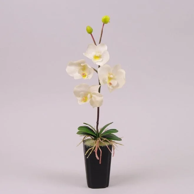 Декорация фаленопсис Flora Белый (7353)