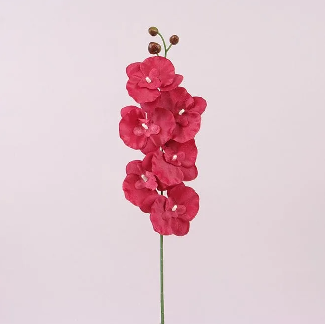 Цветок Фаленопсис Flora 6 шт. Красный (72871)
