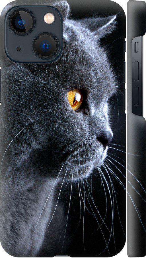 Чехол на iPhone 13 Mini Красивый кот (3038m-2373-42517)