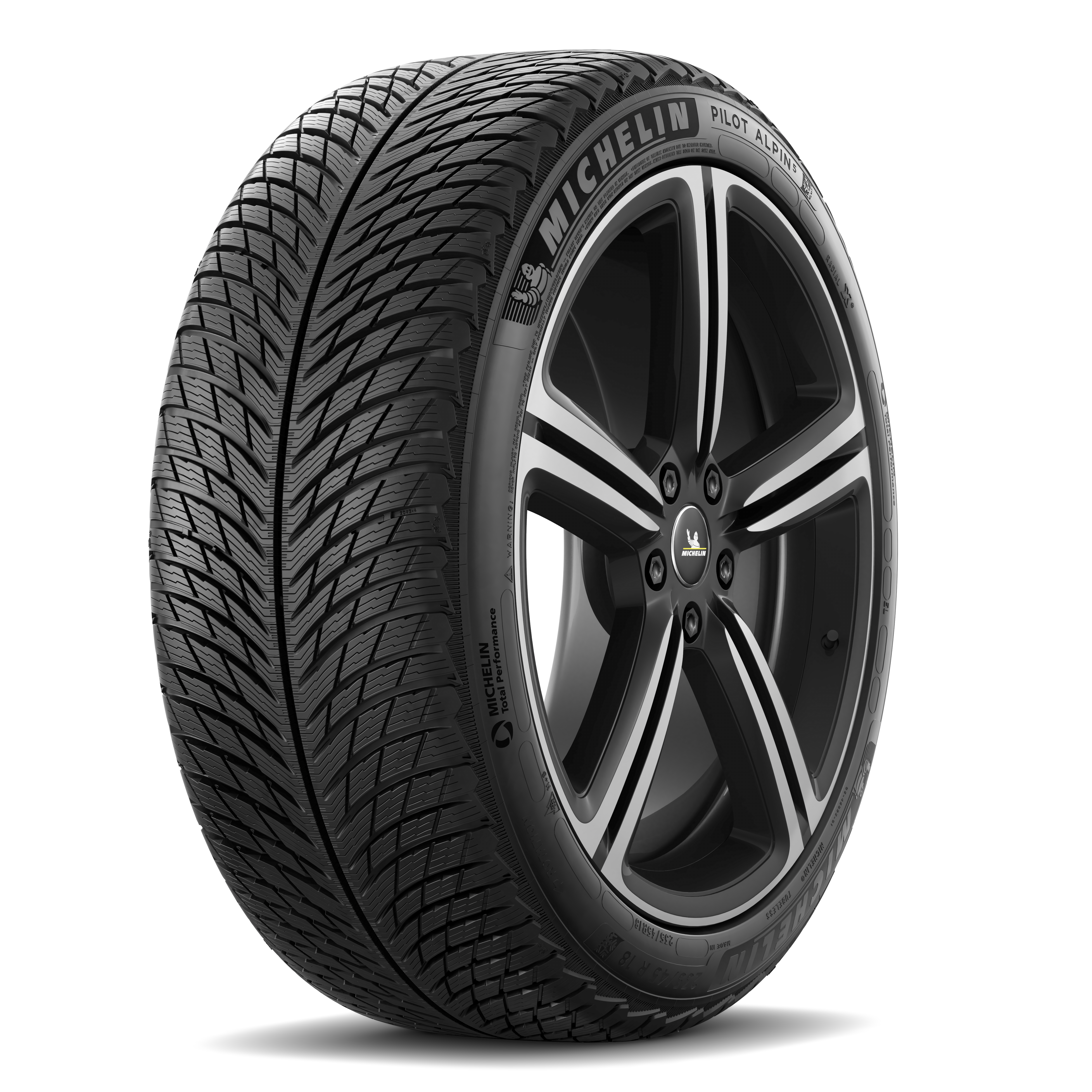 Шина Michelin Pilot Alpin 5 305/30 R21 104V XL зима