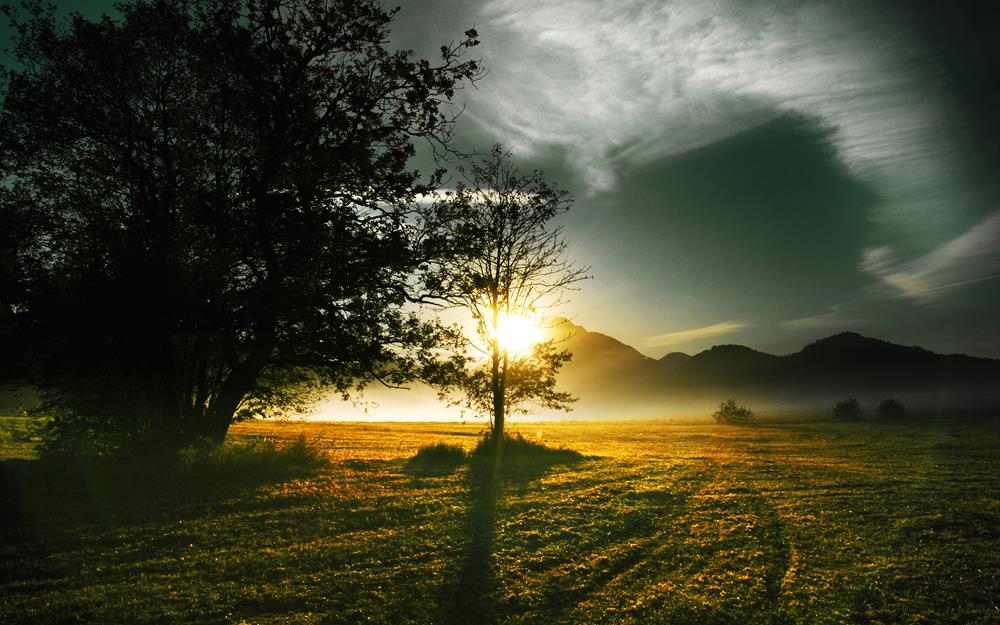 Картина Природа PR103 35х55 см