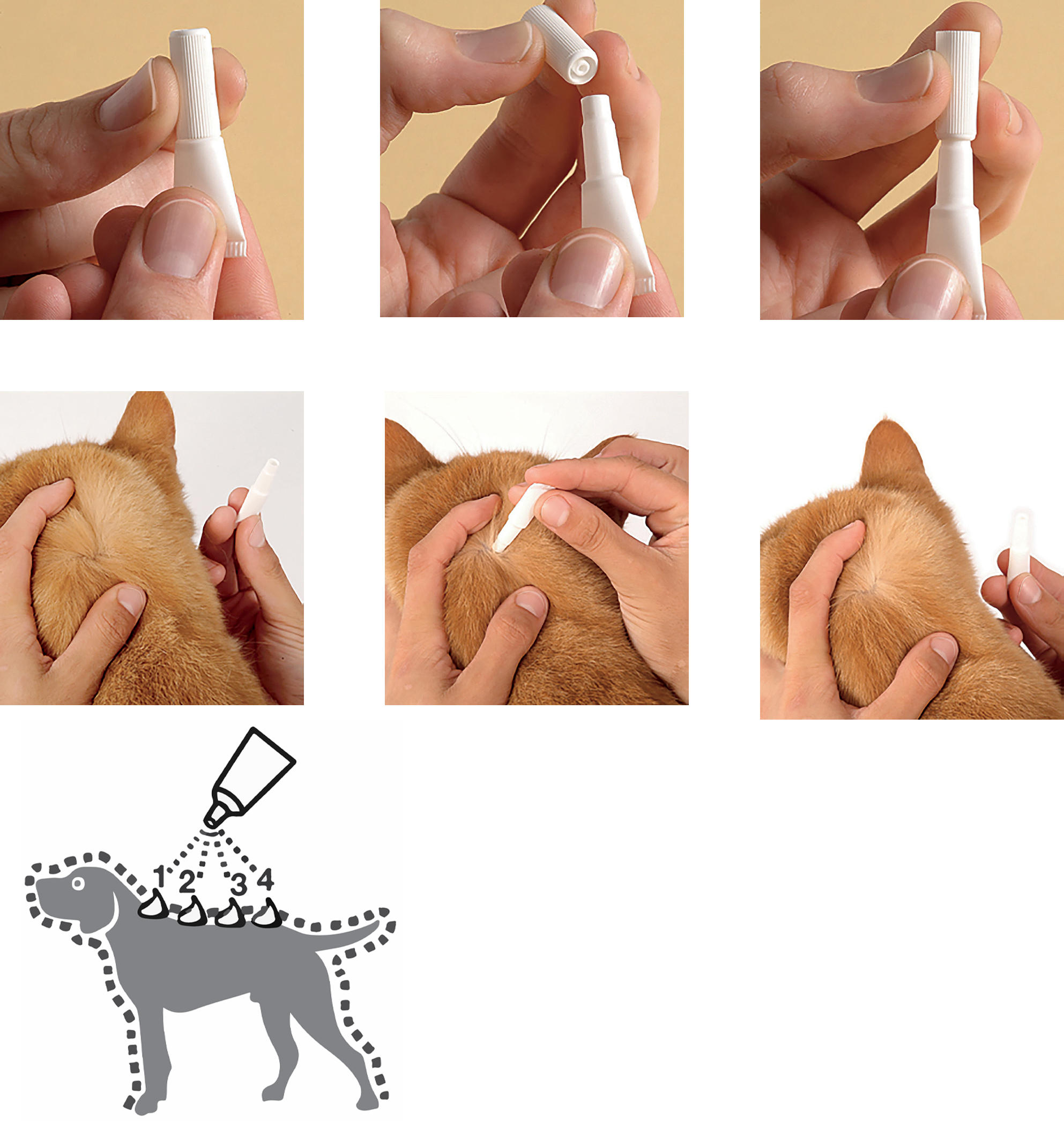 Краплі Bayer Адвокат від заражень ендо та екто паразитами для собак до 4 кг 3 піпетки (4007221037408/2000981007560) - фото 5 Краплі Bayer Адвокат від заражень ендо та екто паразитами для собак до 4 кг 3 піпетки (4007221037408/2000981007560) - фото 5