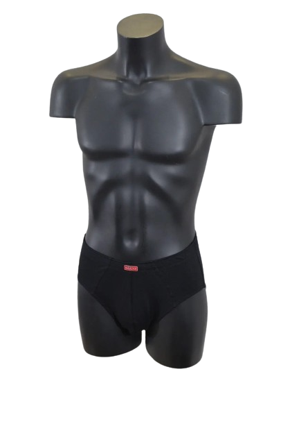 Труси чоловічі Класик Lans 02.005 однотонні L 2 шт.