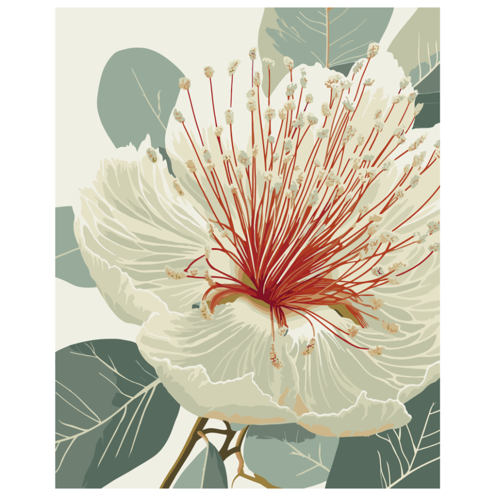 Картина по номерам ART CRAFT Цветущий эвкалипт 40x50 см (13155-AC)