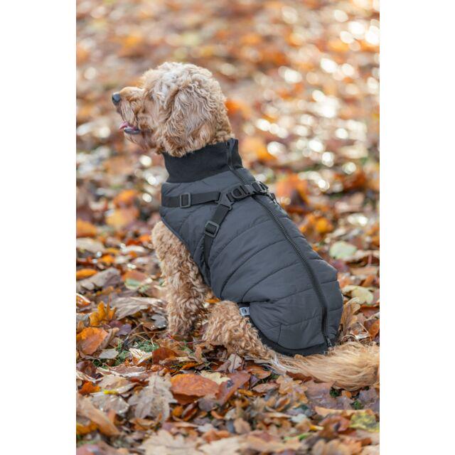 Попона для собак Trixie Pontis с подтяжкой M 45 см Синий (TX-6803436) - фото 4