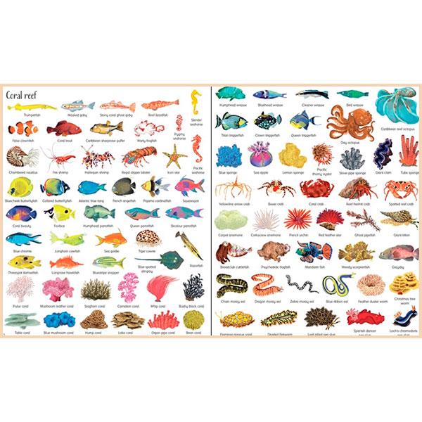 1000 Things Under the Sea