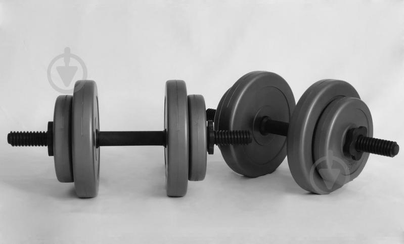 Гантели 2х8кг Наборные WCG Grey Гантели 2х8кг Наборные WCG Grey