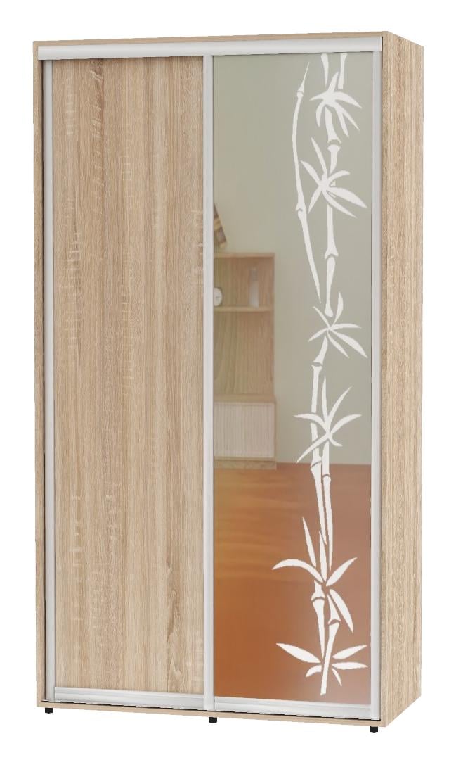 Шкаф-купе двухдверный Алекса ДСП/Зеркало с пескоструйным рисунком 100х45х220 см Дуб сонома