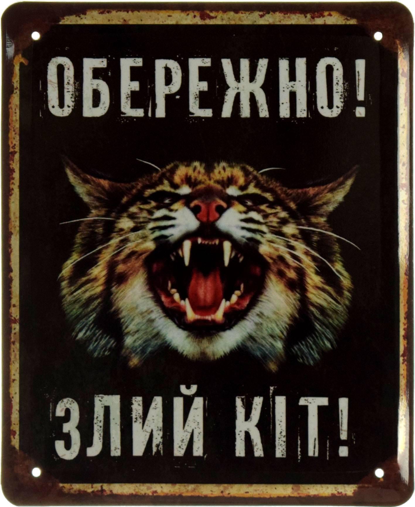 Табличка металлическая "Обережно! Злий Кіт!" 18x22 см