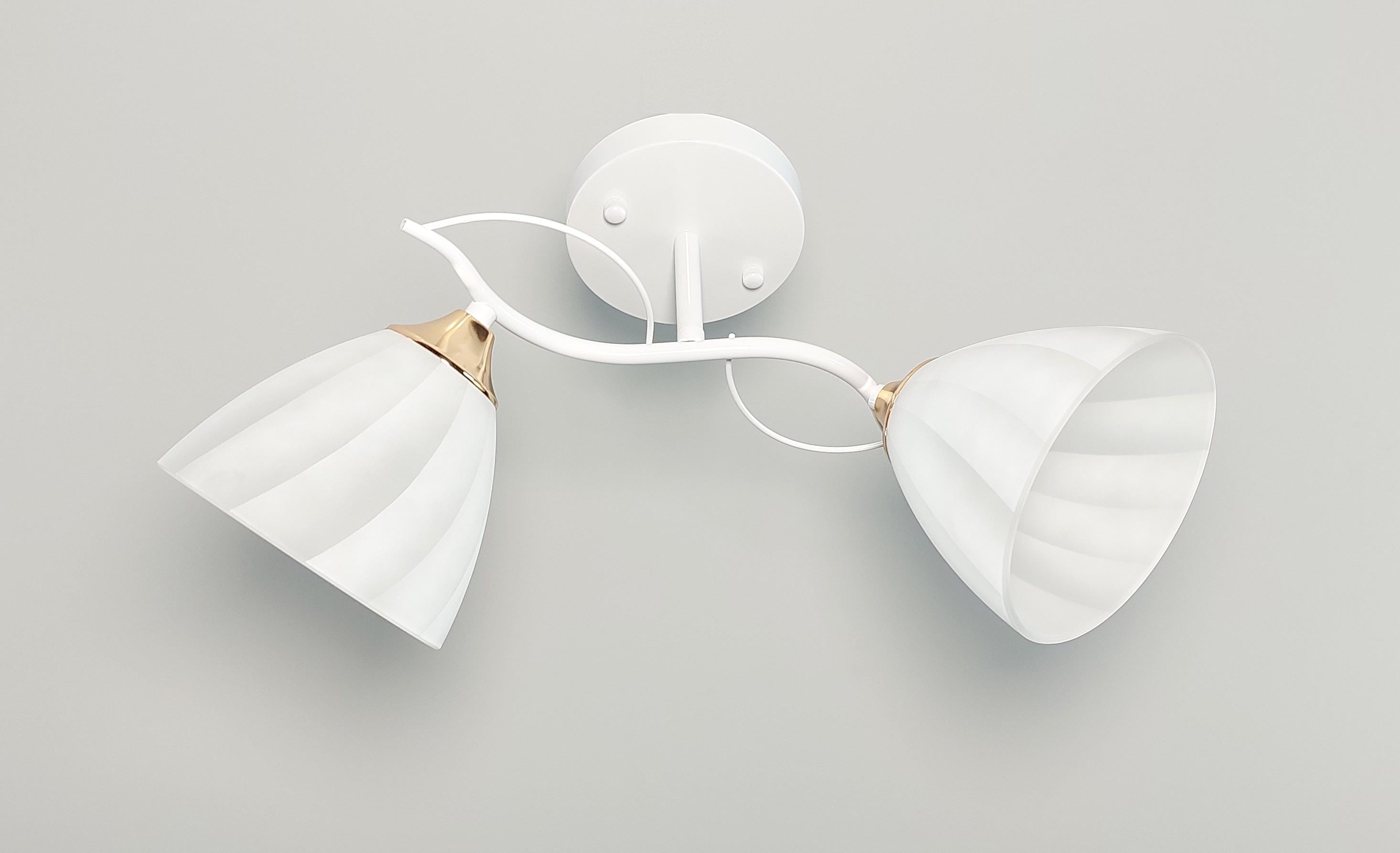 Люстра потолочная 3042/2 на 2 плафона Белый