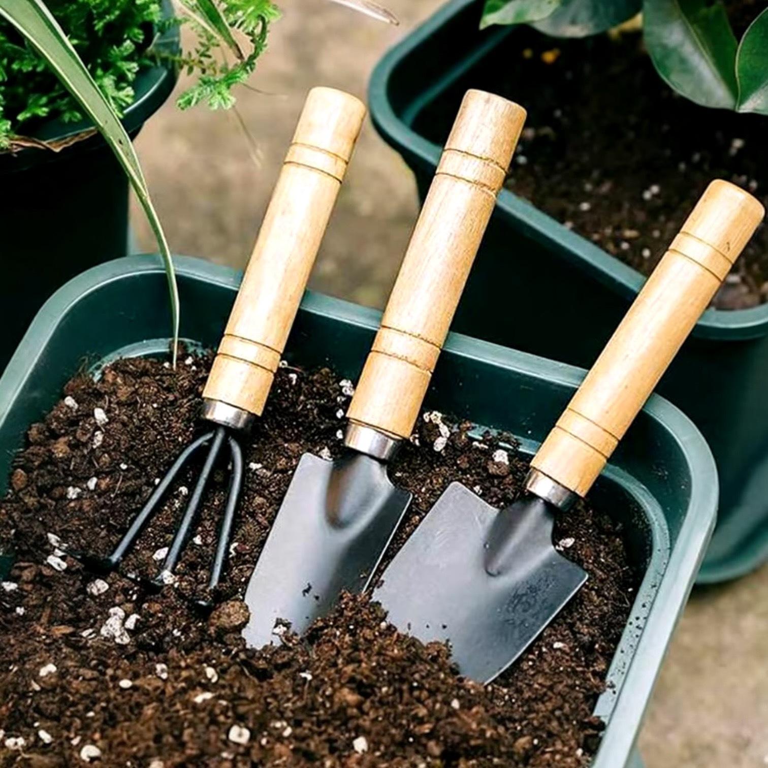 Набір міні-лопаток для садівництва з дерев'яними ручками 3 шт. (id_3069) - фото 3 Набір міні-лопаток для садівництва з дерев'яними ручками 3 шт. (id_3069) - фото 3