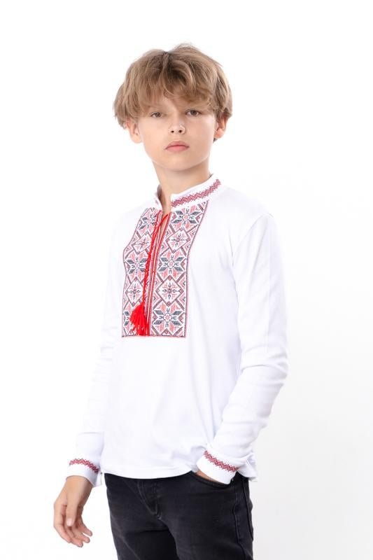 Вишиванка для хлопчика з довгим рукавом Носи Своє 140 см Червоний (6128-038-22)