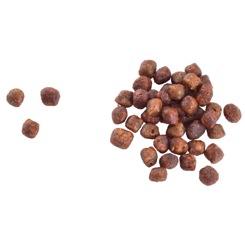 Корм сухий Brit Care Cat by Nutrition Kitten Gentle Digestion Strong Immunity с лососем 400 г - фото 2