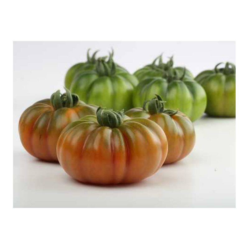 Насіння Індетермінантний Томат Enza Zaden MARSALATO F1 Organic 250 шт. (1994843610) Насіння Індетермінантний Томат Enza Zaden MARSALATO F1 Organic 250 шт. (1994843610)