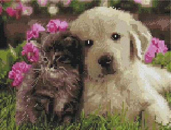 Алмазна мозаїка Котик і собачка 30х40 см (1877250771)