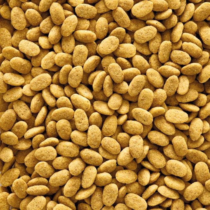 Корм для птиц Versele-Laga NutriBird P15 10 кг (24390220) - фото 2 Корм для птиц Versele-Laga NutriBird P15 10 кг (24390220) - фото 2