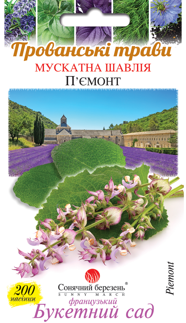 Насіння трав Шавлія мускатна (8854)