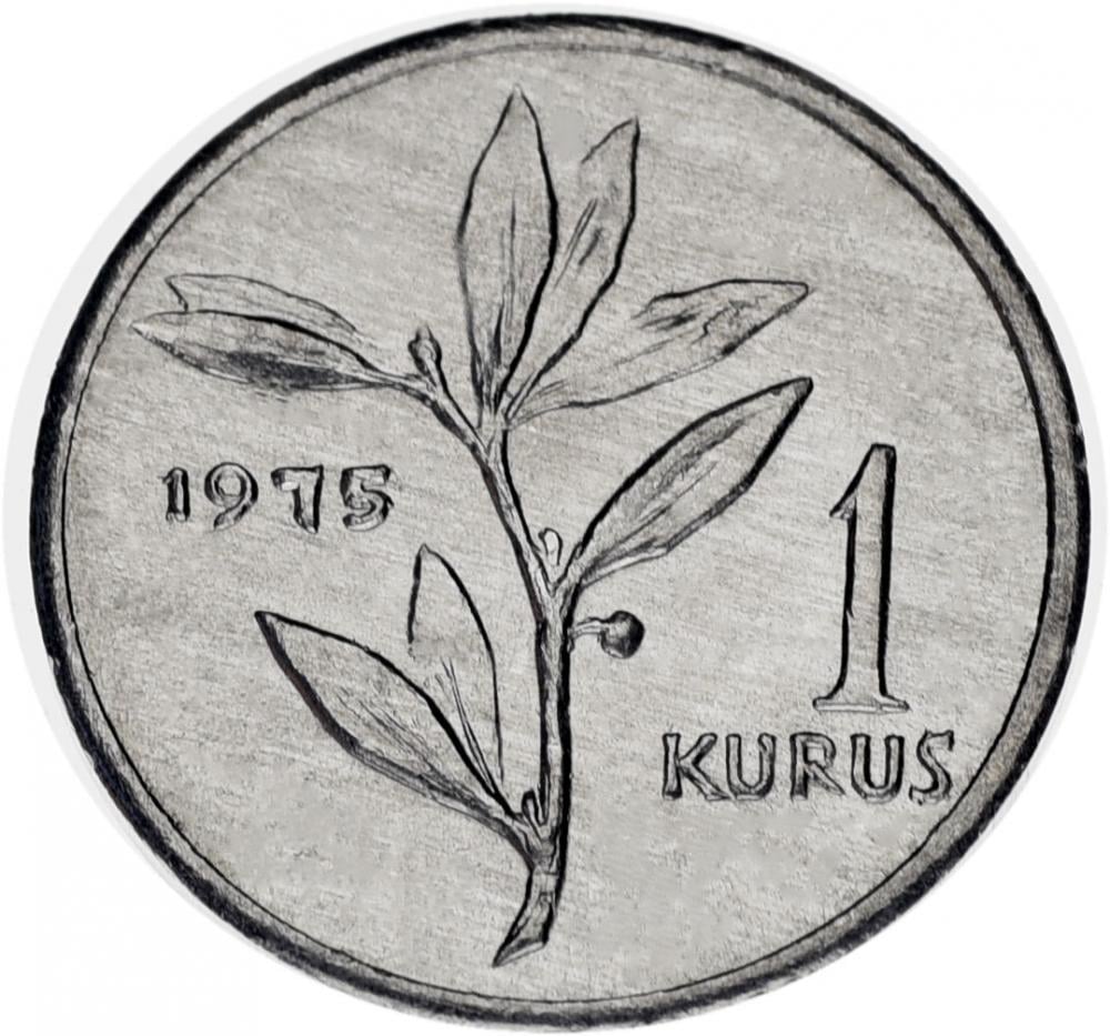 Коллекционная монета Турция 1 куруш 1975 F-VF (KM#895b)