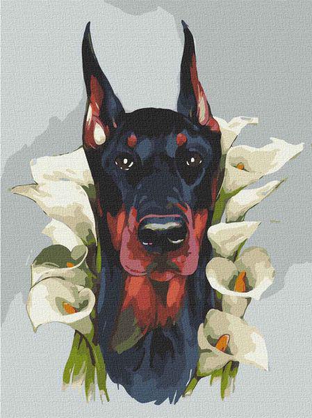 Картина по номерам Величественный доберман