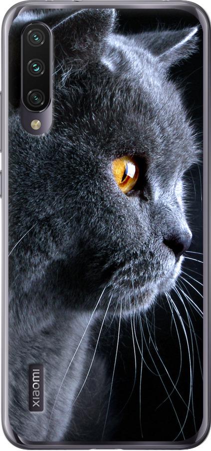 Чехол на Xiaomi Mi A3 Красивый кот (3038t-1737-42517)