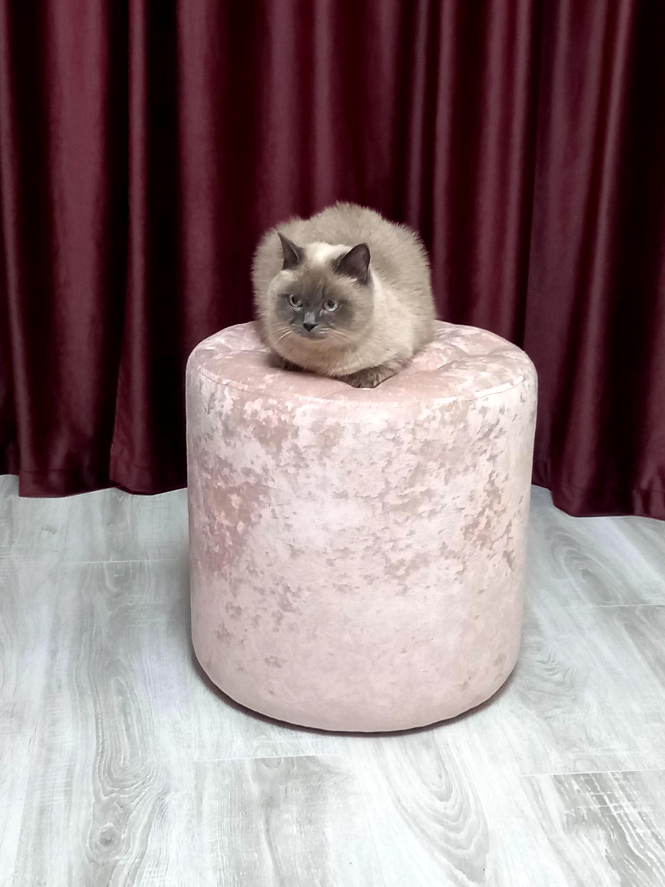 Пуф круглий Рондо велюр Малібу зі втяжками d 45 см h 45 см Рожевий - фото 2 Пуф круглий Рондо велюр Малібу зі втяжками d 45 см h 45 см Рожевий - фото 2