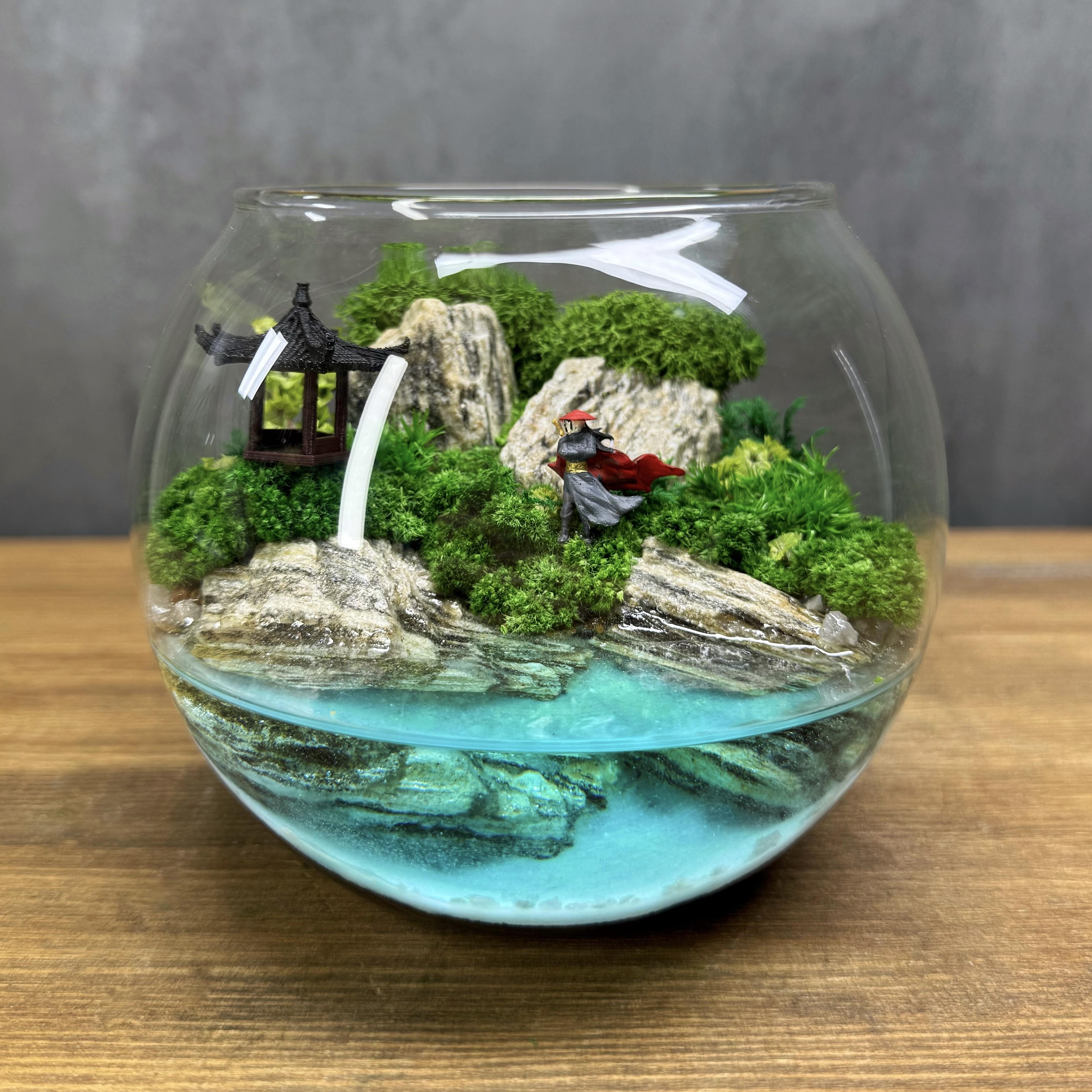 Флорариум Самурай со стабилизированным мхом 12 см