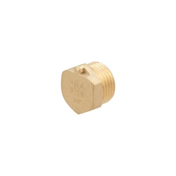 Заглушка Raftec GOLD під пломбу ЗЗ 1/2" (103856)