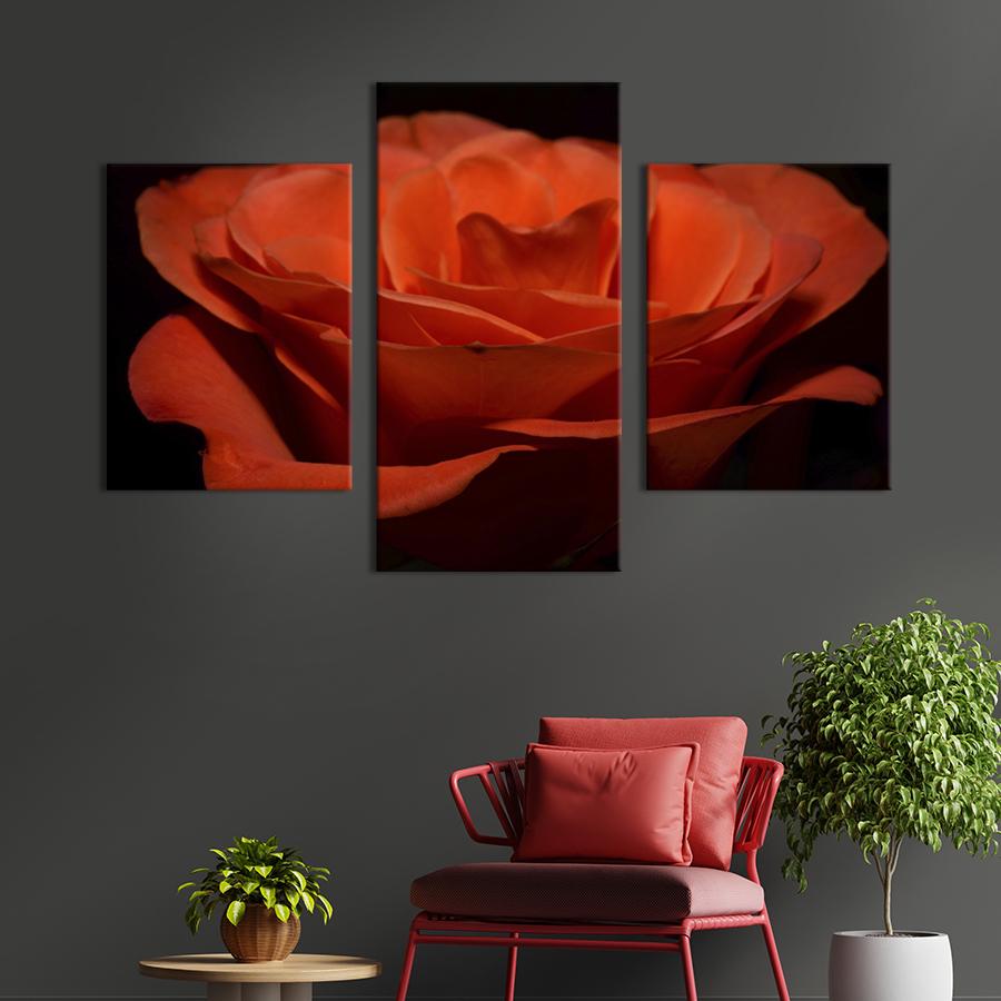 Картина на холсте триптих Роскошная оранжевая роза 141x90 см (974-32)