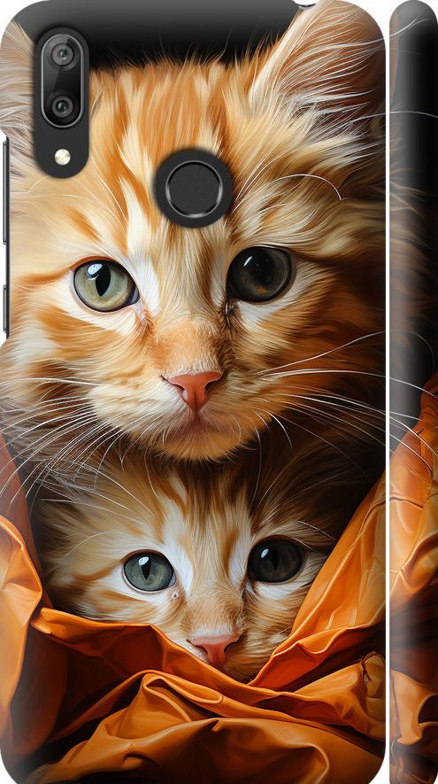 Чехол на Huawei Y7 2019 Котики 2 (5664m-1638-42517) Чехол на Huawei Y7 2019 Котики 2 (5664m-1638-42517)