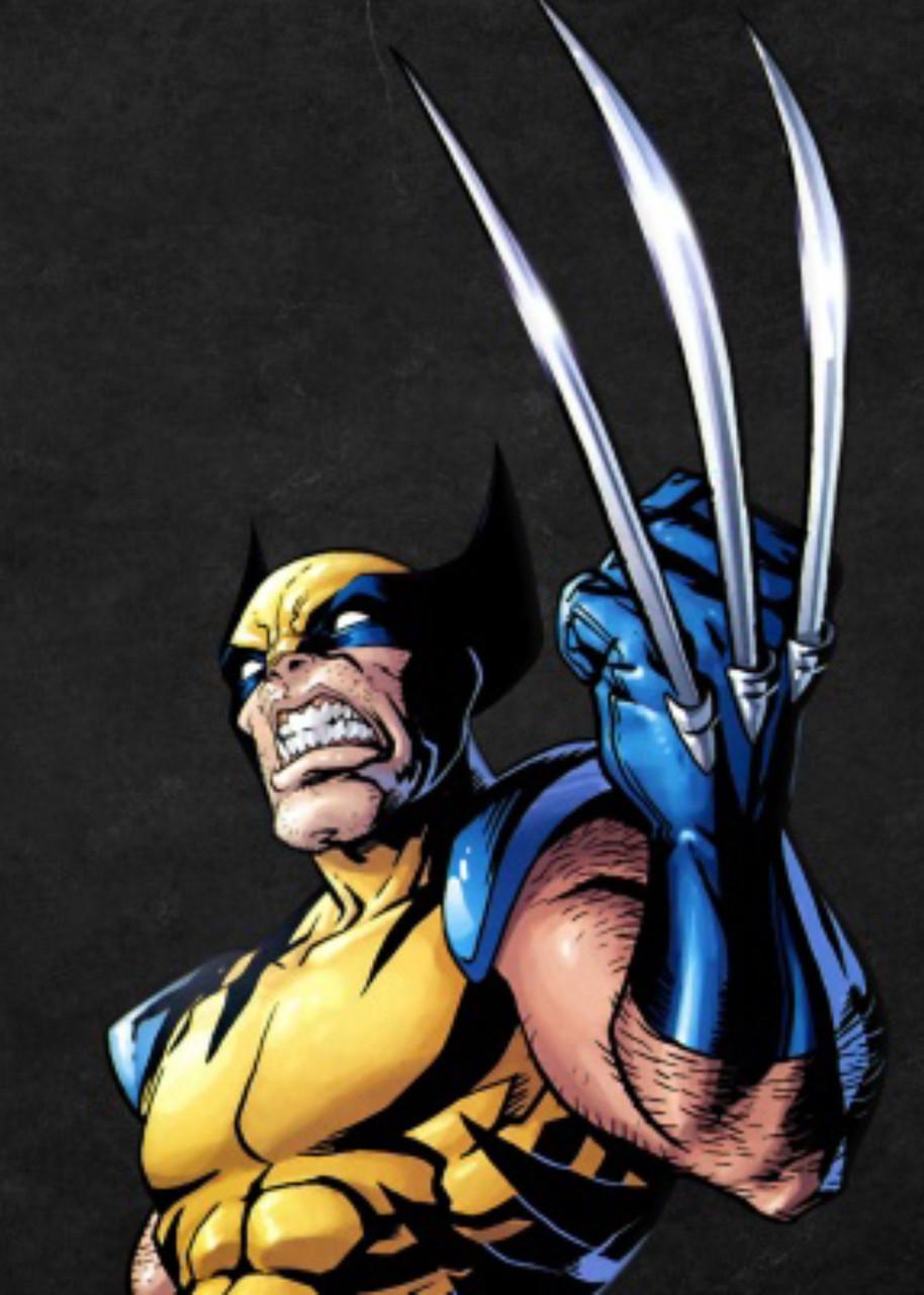 Картина GeekLand Wolverine Fan-art 60х40 см (WR.09.028)