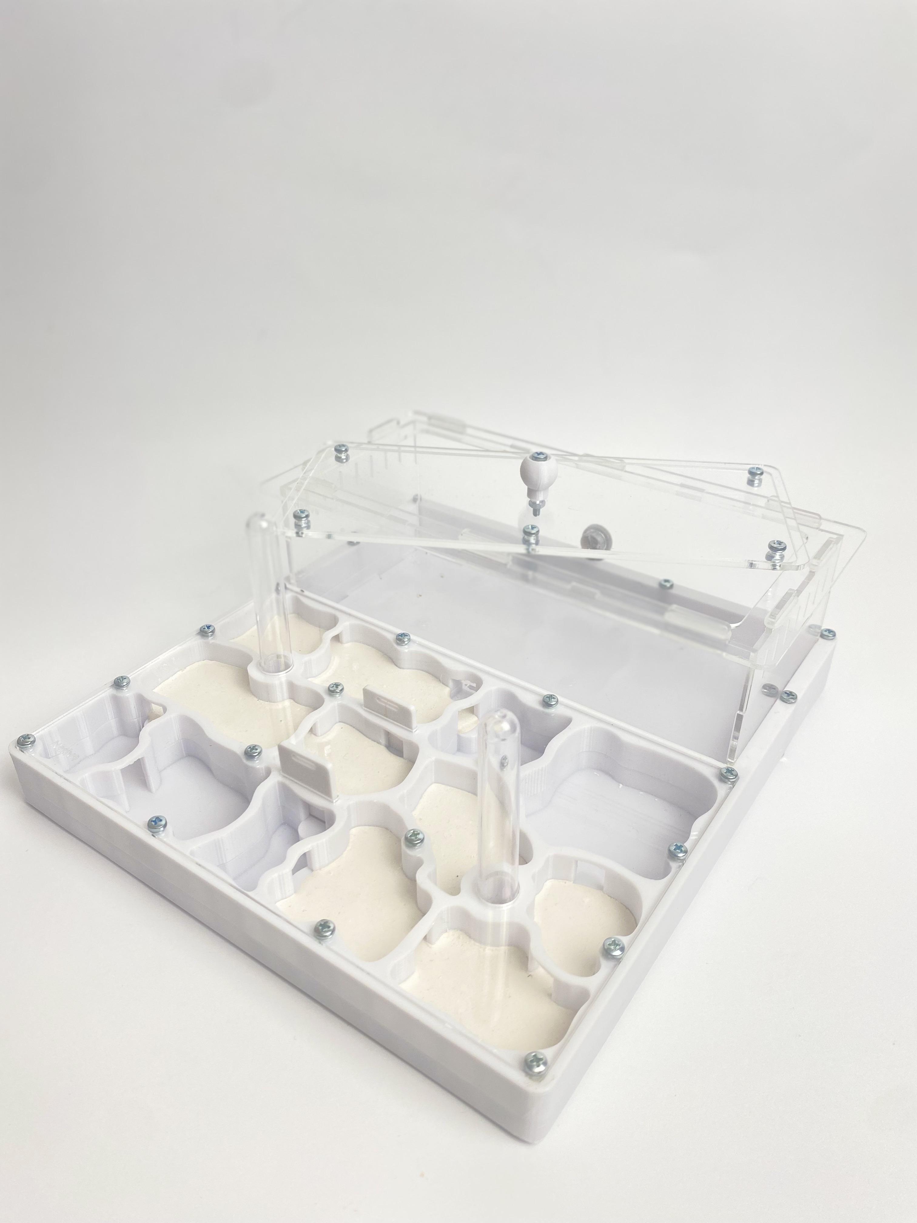 Муравьиная ферма с ареной Формикарий "XL" 21х23 см безопасная PLA Белый (2531052530)