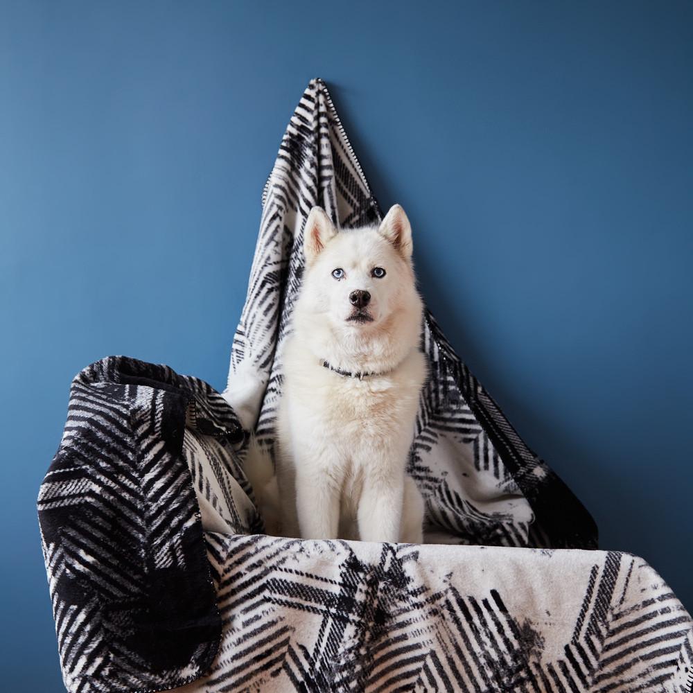 Плед покривало бавовняне Kassandra 150x220 см Чорний - фото 8 Плед покривало бавовняне Kassandra 150x220 см Чорний - фото 8