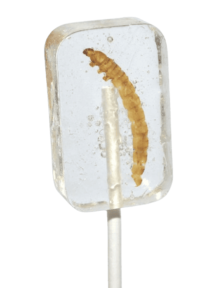 Леденец с насекомым Hotlix Tequila Flavored Lollipop with Real Worm Sugar-Free 28 г (2793356504)