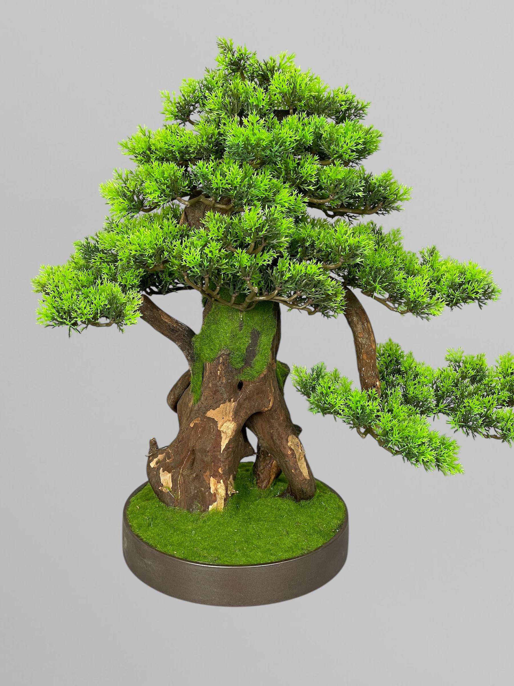 Бонсай 45 см Зеленый (Б009) - фото 3 Бонсай 45 см Зеленый (Б009) - фото 3