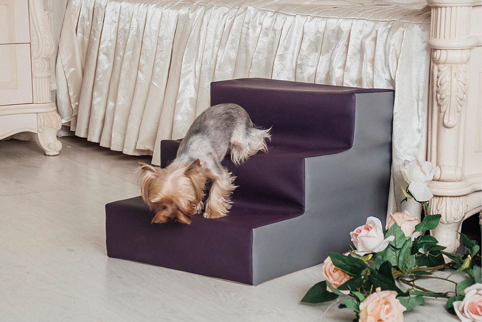 Сходинки для Собак Haustier Grape 3х-рівневі екошкіра вологостійкі 54х40х36см (R1-1-e01) - фото 3 Сходинки для Собак Haustier Grape 3х-рівневі екошкіра вологостійкі 54х40х36см (R1-1-e01) - фото 3