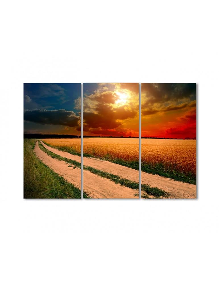 Картина модульная Солнце над пшеничным поле 3 модуля 50x75 см