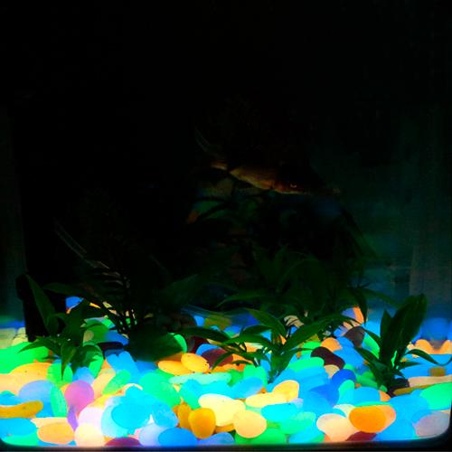 Ракушки Glow Shells для аквариума 90 шт. - фото 2 Ракушки Glow Shells для аквариума 90 шт. - фото 2