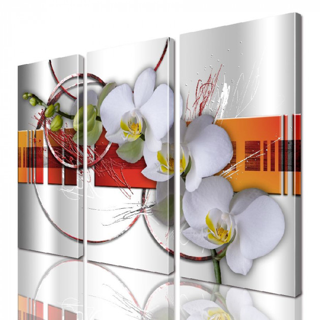 Картина модульная ArtStar Орхидея ADFL0131 150х180 см 3 части
