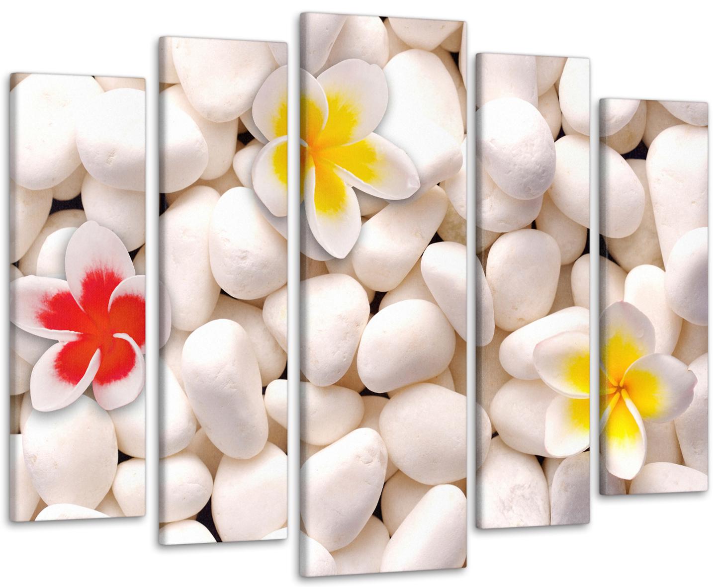 Картина модульна Квіти на камнях 115х170 см (Art-416_5)