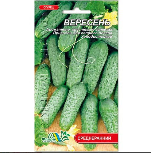 Насіння огірка Вересень середньоранній1 г (26304) Насіння огірка Вересень середньоранній1 г (26304)