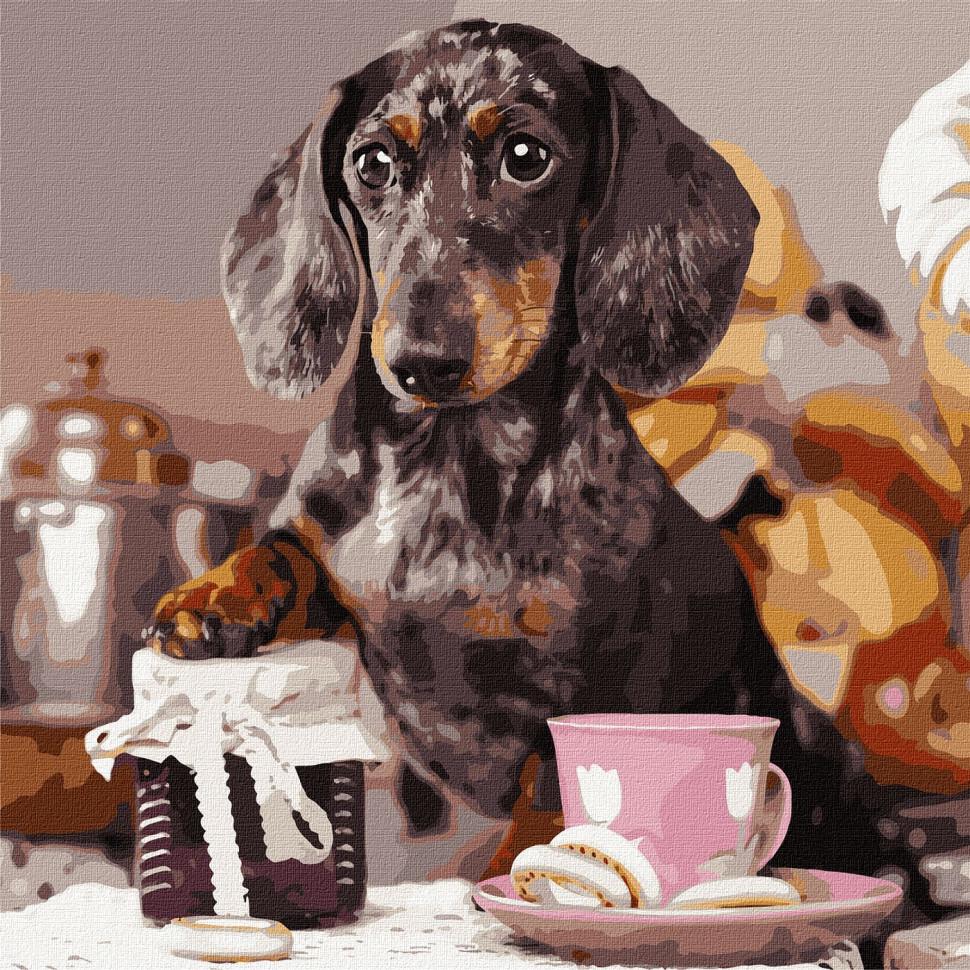 Картина по номерам Ідейка Пушистый повар 40х40 см (KHO4273)