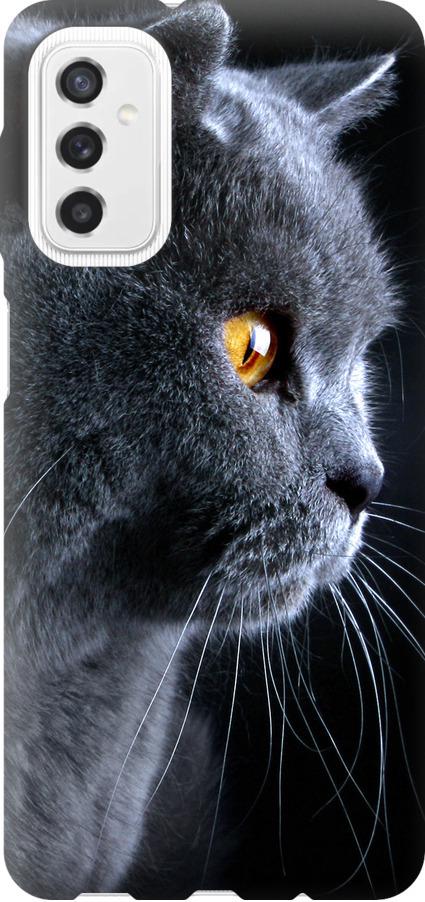 Чехол на Samsung Galaxy M52 M526B Красивый кот (3038u-2490-42517)