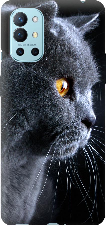 Чехол на OnePlus 9R Красивый кот (3038t-2326-42517)