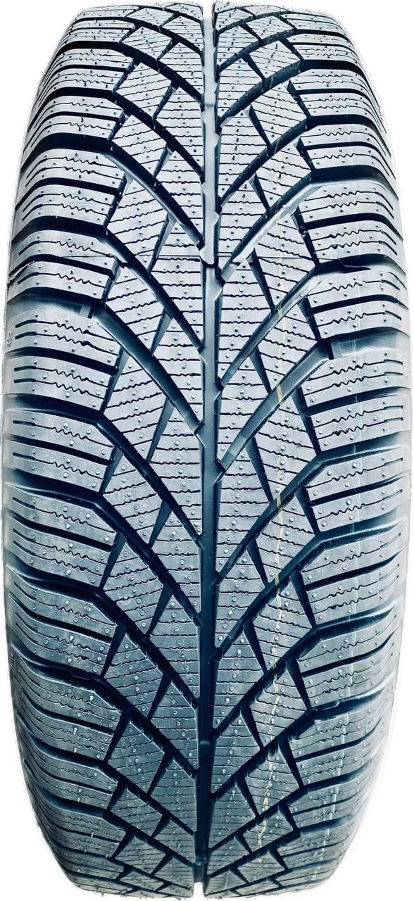 Шина зимняя EcoComfort Domin 205/55 R16 91T (1552468645)