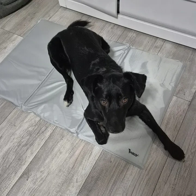 Коврик охлаждающий Purlov 25537 гелевый для домашних животных 110х70 см - фото 7 Коврик охлаждающий Purlov 25537 гелевый для домашних животных 110х70 см - фото 7