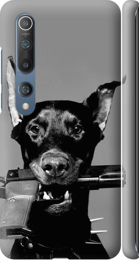Чехол на Xiaomi Mi 10 Доберман (2745m-1860-42517) Чехол на Xiaomi Mi 10 Доберман (2745m-1860-42517)