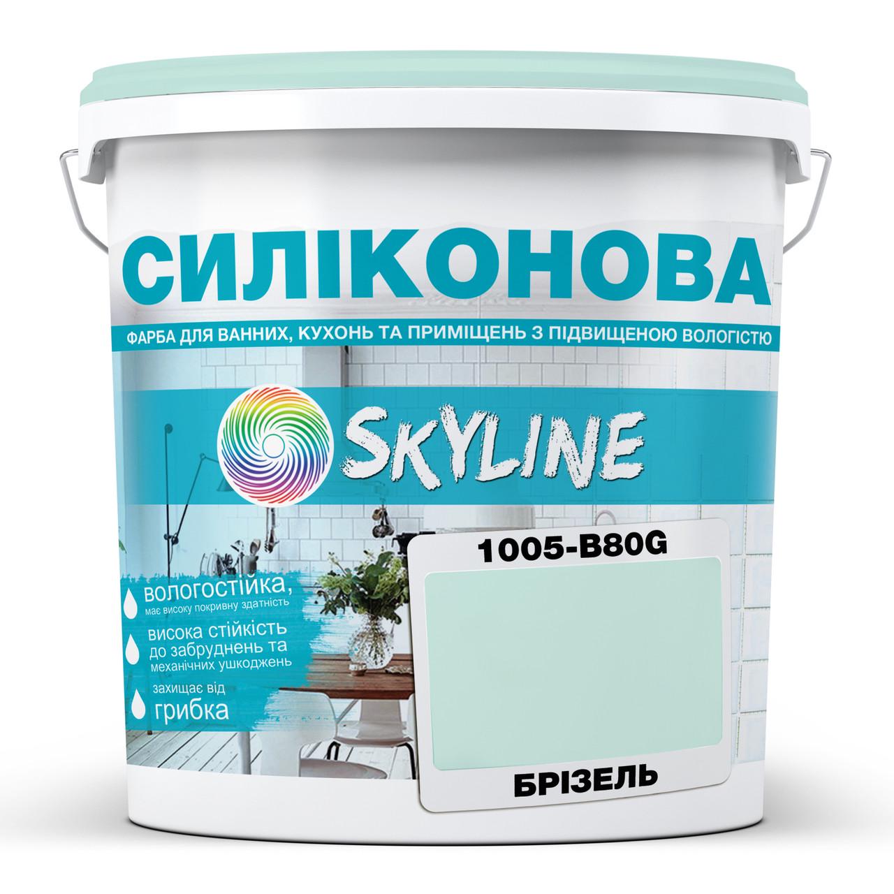 Фарба для вологих приміщень Skyline 1015-B80G силіконова 3 л Брізель (2589082066) - фото 1 Фарба для вологих приміщень Skyline 1015-B80G силіконова 3 л Брізель (2589082066) - фото 1